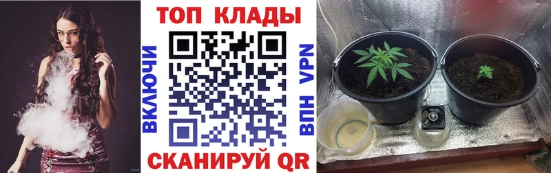 Купить закладку Бошки Шишки  COCAIN  ГАШ  МЕФ  Изобильный