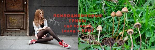 гашиш Беломорск