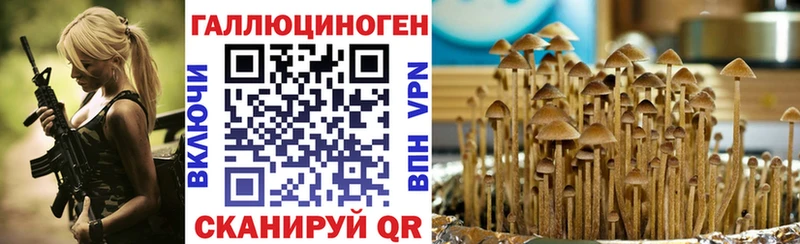 Купить  Изобильный  Галлюциногенные грибы мухоморы 